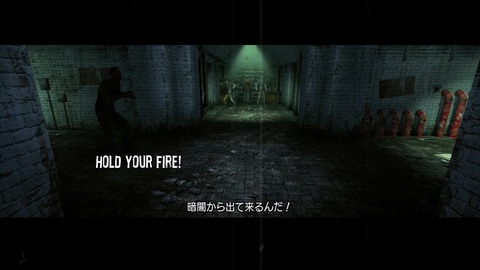 vlcsnap-00015