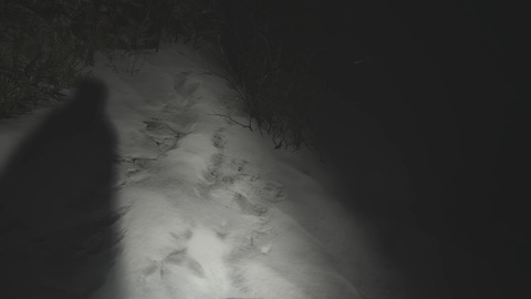 vlcsnap-00023