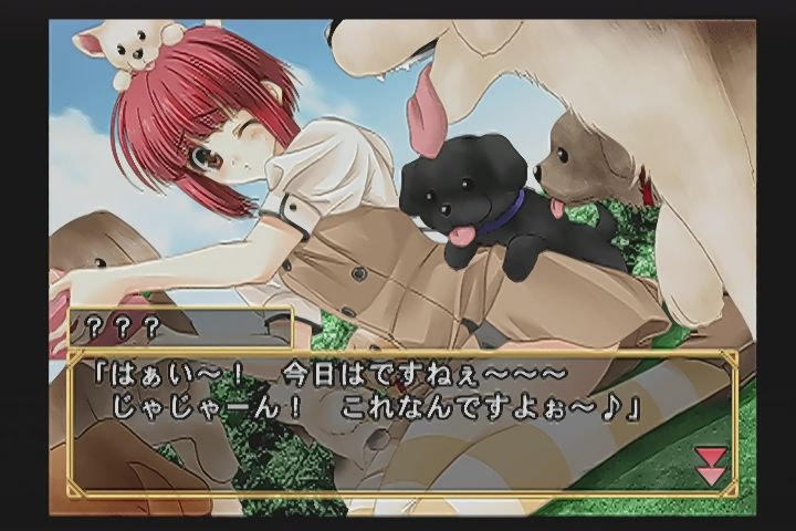 ｐｓ２ W ウィッシュ だんぼーるはうすinブログ