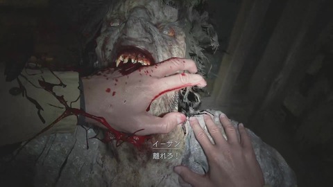 vlcsnap-00040