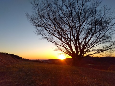 IMG_2025-01-01-06-56-19-150