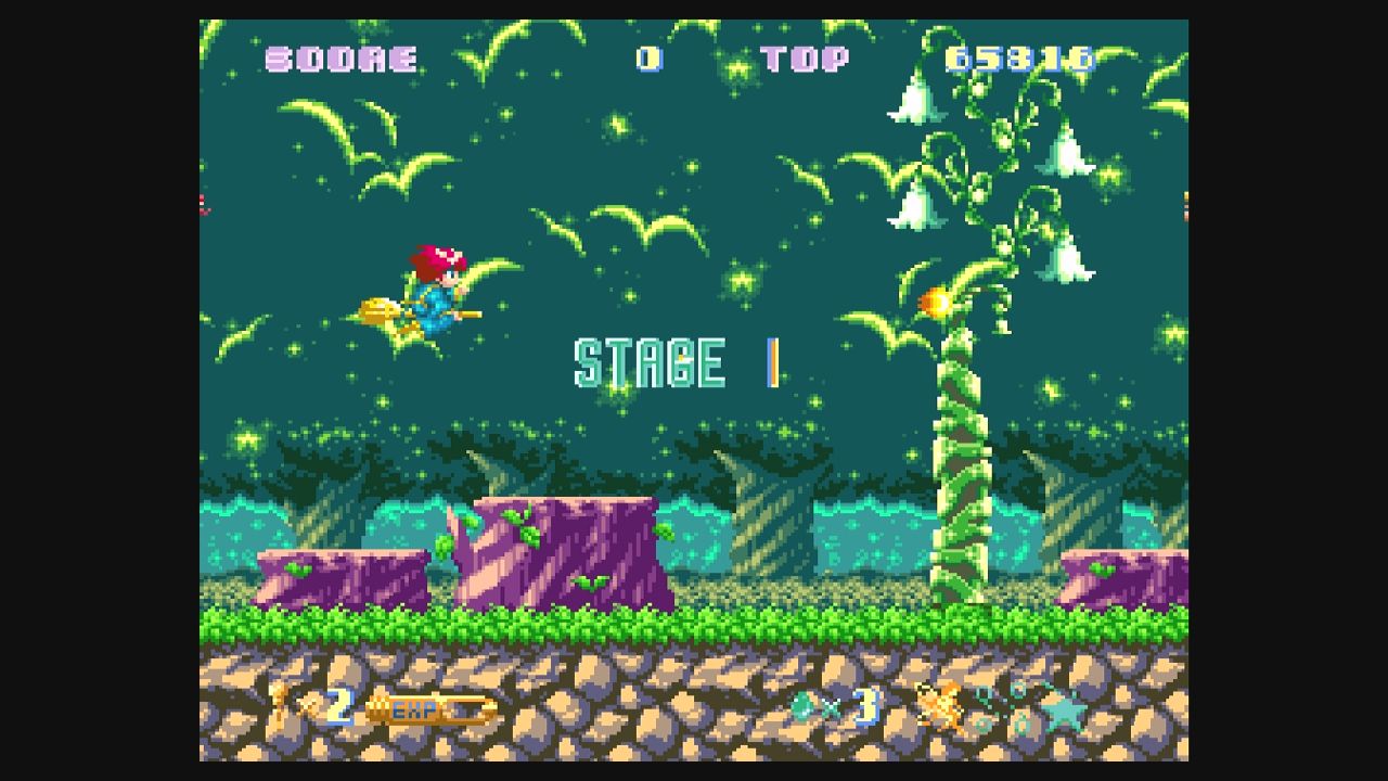 SFC】コットン100％ : だんぼーるはうすinブログ