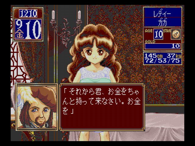 ファッションアイテム人気ランキング SCD】プリンセスメーカー2【ACカード対応】 : だんぼーるはうす シミュレーション