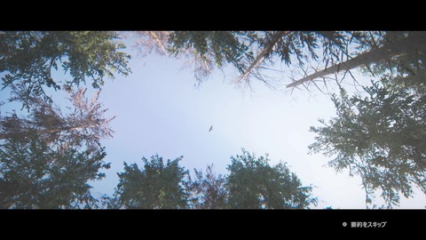 vlcsnap-00005