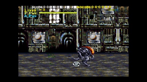 vlcsnap-00003
