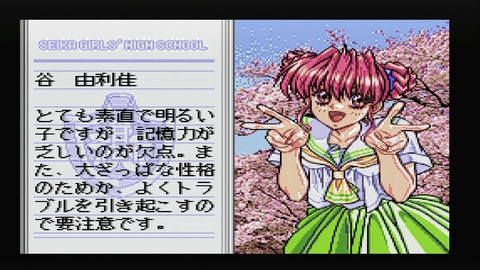 vlcsnap-00008