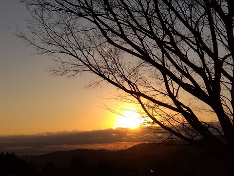 IMG_2026-01-01-07-13-18-181