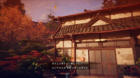 vlcsnap-00017