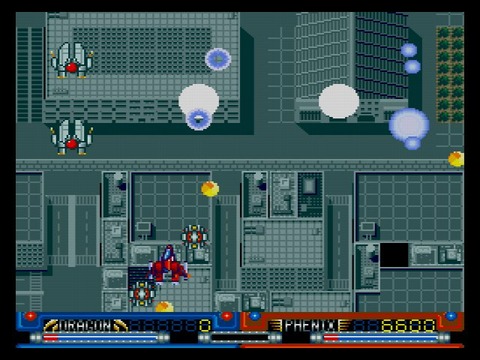 WS000006