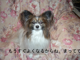 BlogPaint
