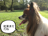 BlogPaint
