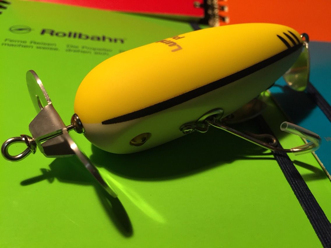 ドナリン発送しました〜！！ : ランカーズペット