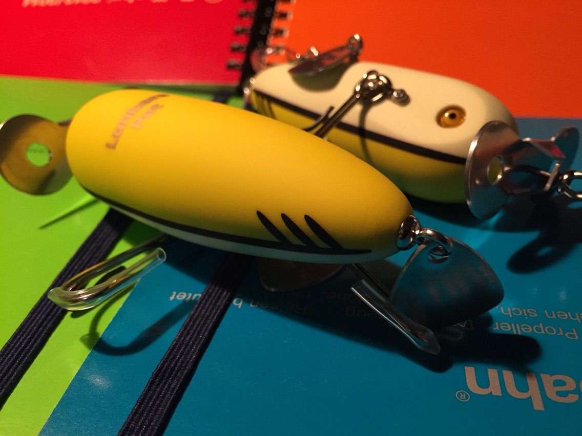 ドナリン発送しました〜！！ : ランカーズペット