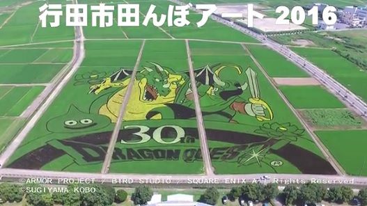 ドラクエ田んぼアート、ただいま見ごろ　行田市