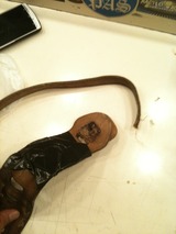 ���ȥ�åס�