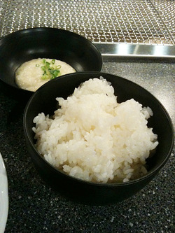 渋谷 焼肉 ABURIYA 一(ichi)