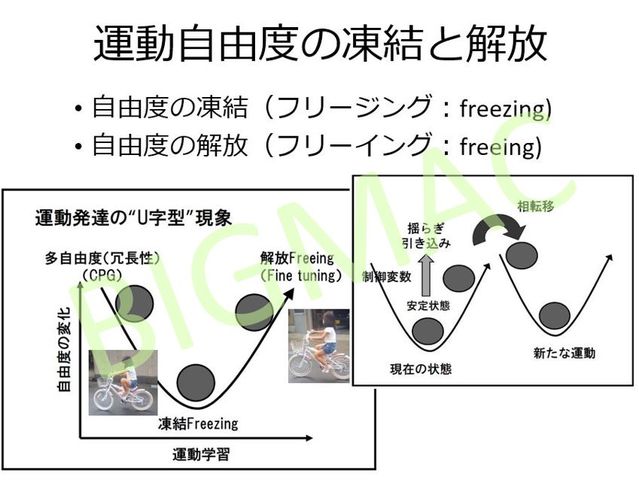 講義日記 湯舟のひらめき ウムウェルトの知恵の輪