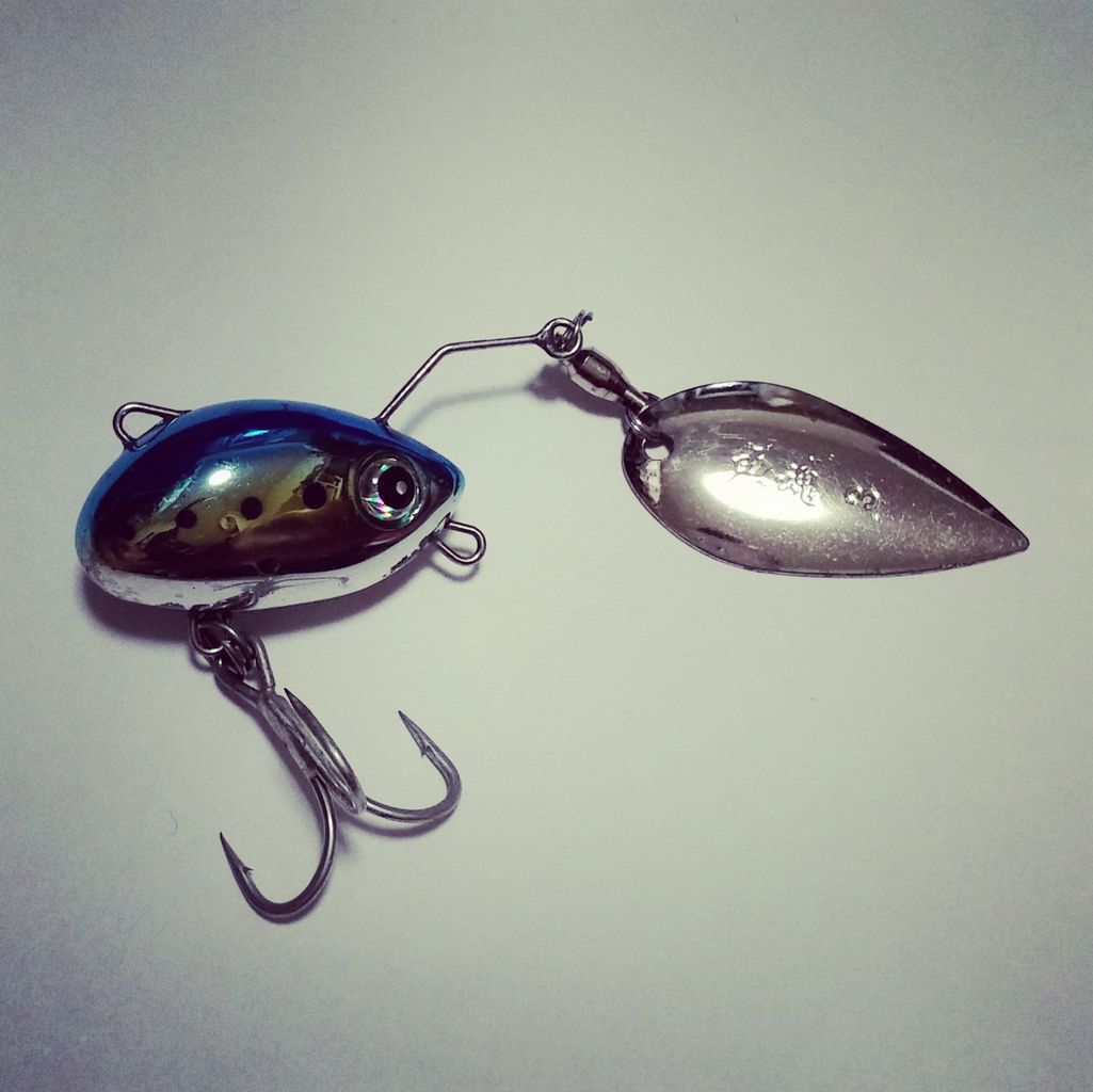 これは色モノなのかそれとも究極のルアーなのか Daiwa 魚魂 ダイワ ウオダマ 人生初の1投目からランディング Lurefishing And Outdoor Life