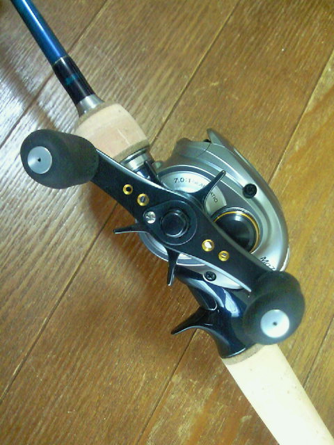 アメニスタ : Day Walker