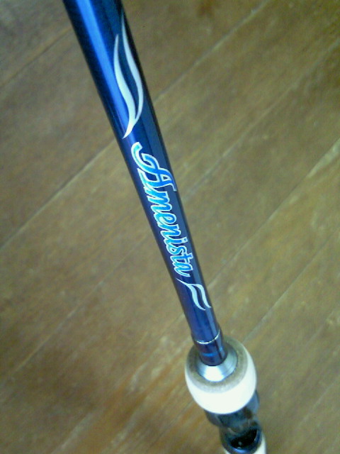 アメニスタ : Day Walker