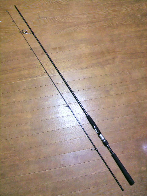 エクスセンス S810M/RF : Day Walker