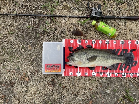 20240614  47cm NO3EN9