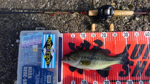 20191124八郎潟30ｃｍＮＯ1ＥＮ17