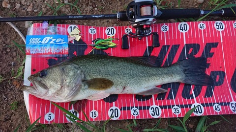 20190721八郎潟46ｃｍＮＯ2ＥＮ57