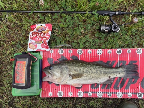 20250623  48cm（口開きマイナス）NO2EN5