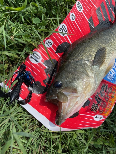 安定釣果を求めるなら！八郎潟ブラックバス釣果情報！！ : Lure Shop O