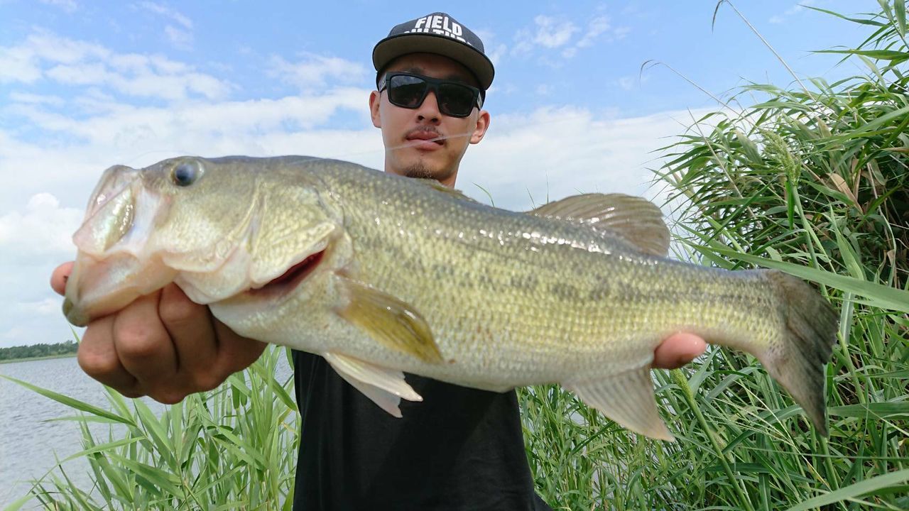 承水路好調です 八郎潟ブラックバス釣果情報 Lure Shop O Z Blog