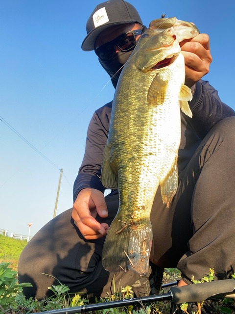 みどすとふぃっしゅ