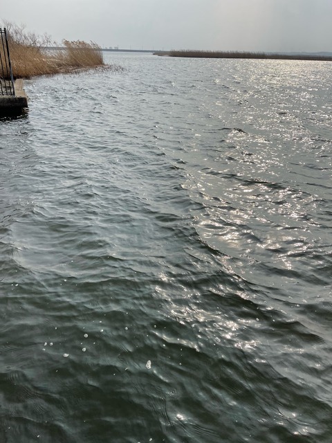 image8