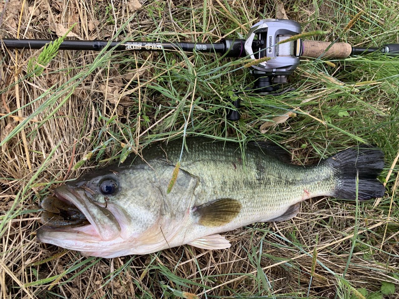 適材適所で釣果アップ 八郎潟ブラックバス釣果情報 Lure Shop O Z Blog 適材適所で釣果アップ 八郎潟ブラックバス釣果情報 Lure Shop O Z Blog