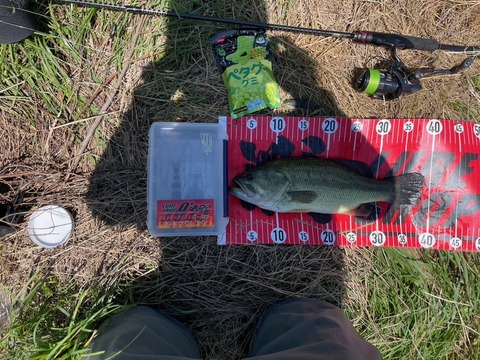 20250713 39cm No1EN12