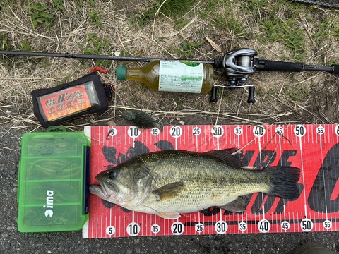 20240606 49cm NO2EN4