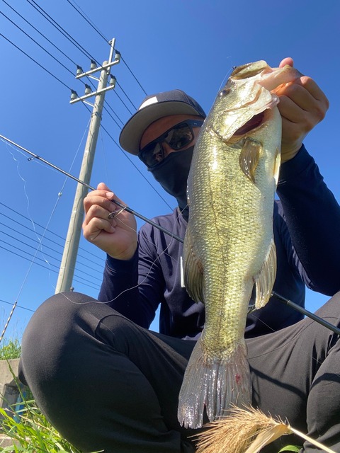 みどすとふぃっしゅ2