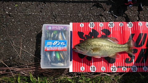 20231023 31CMNO1EN16