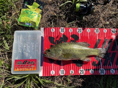 20250713 35cmNO3EN12