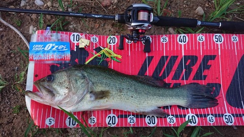 20190721八郎潟ＮＯ3ＥＮ57