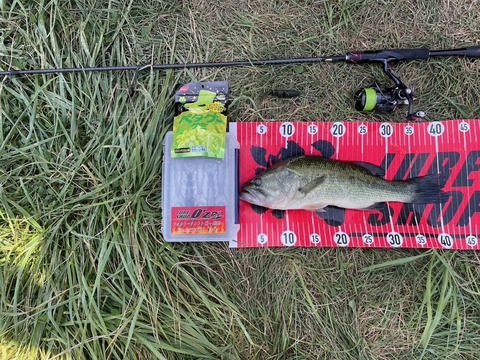 20250713 41cm NO2EN12