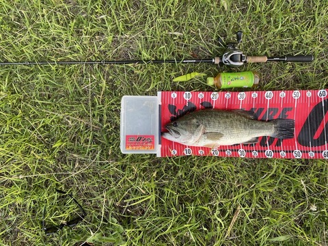 20240614 50cm NO1EN9