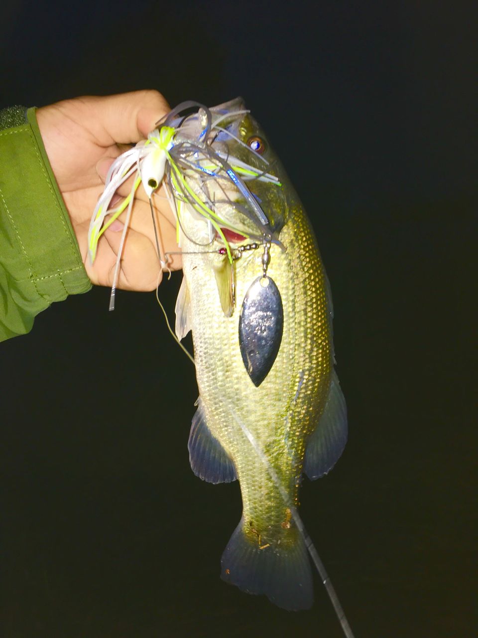 この秋の釣果に共通している事 八郎潟ブラックバス釣果情報 Lure Shop O Z Blog