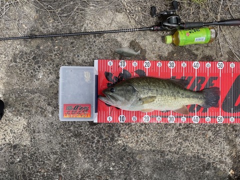 20240614 50cm NO2EN9