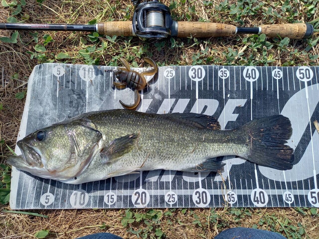バス釣り　まとめ売り 暑い3連休でしたが！八郎潟ブラックバス釣果情報！！ : Lure Shop O'z Blog