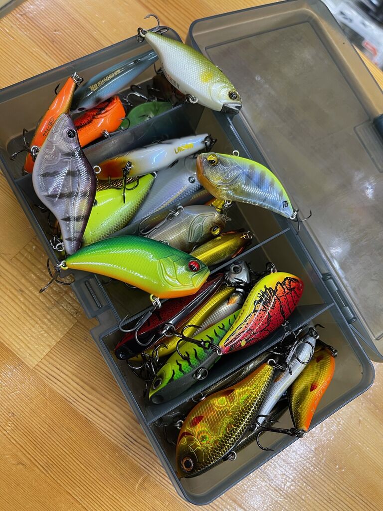 秋こそ生きる！バイブレーションプラグの有効性！！ : Lure Shop O'z Blog
