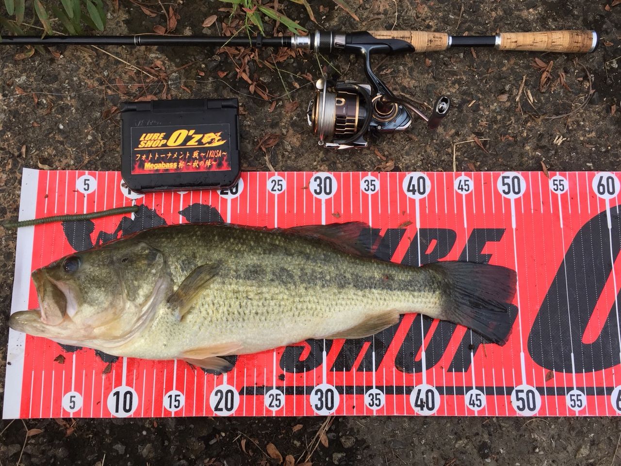 結果発表 18フォトトーナメント戦 Ikusa メガバス杯 秋の陣 Lure Shop O Z Blog 結果発表 18フォトトーナメント戦 Ikusa メガバス杯 秋の陣 Lure Shop O Z Blog