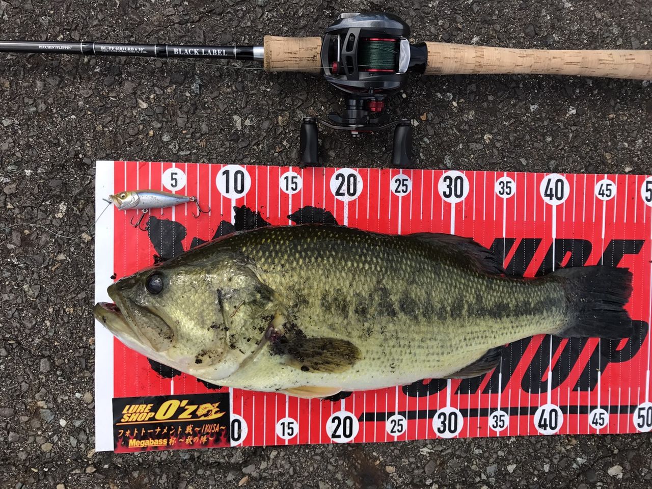 結果発表 18フォトトーナメント戦 Ikusa メガバス杯 秋の陣 Lure Shop O Z Blog 結果発表 18フォトトーナメント戦 Ikusa メガバス杯 秋の陣 Lure Shop O Z Blog