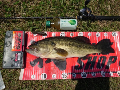 20240627 49cm NO3EN27