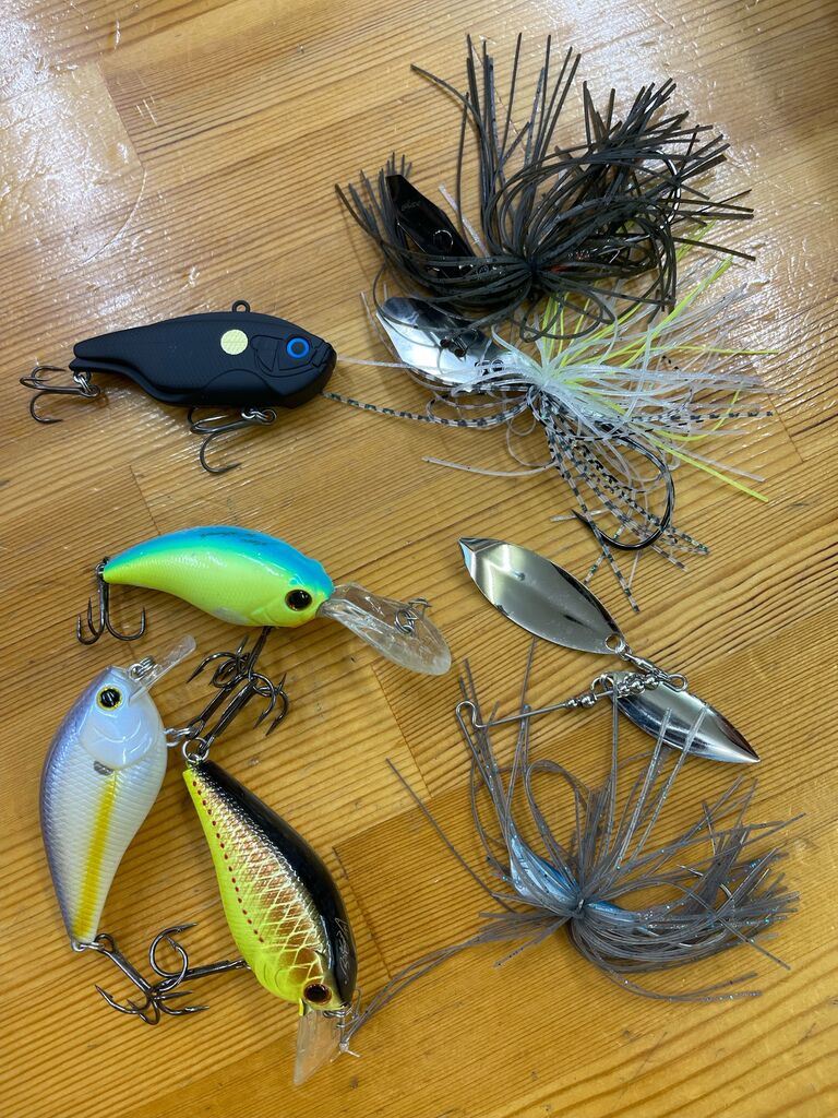 明日から八郎潟、野池ともに活性化する予想です。 : Lure Shop O'z Blog